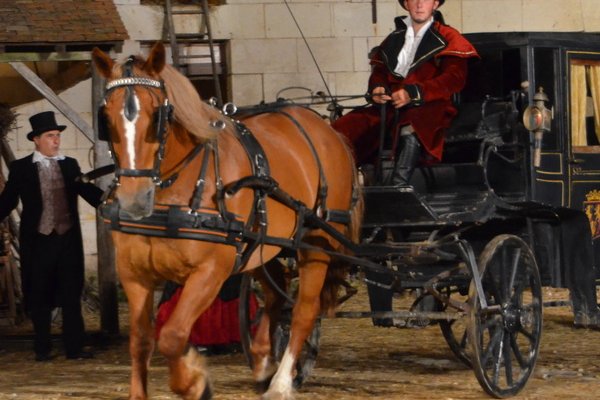  photo de La Bête à Cornes à la Ferme-Théâtre de Bellevue