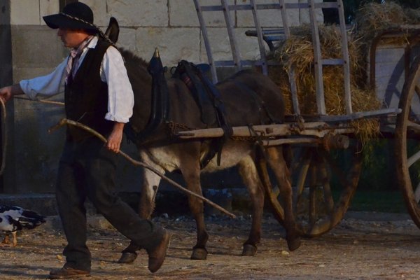  photo de La Bête à Cornes à la Ferme-Théâtre de Bellevue