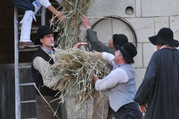  photo de La Bête à Cornes à la Ferme-Théâtre de Bellevue
