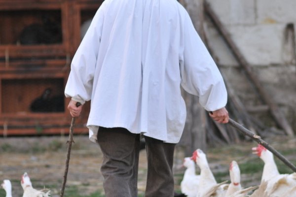  photo de La Bête à Cornes à la Ferme-Théâtre de Bellevue