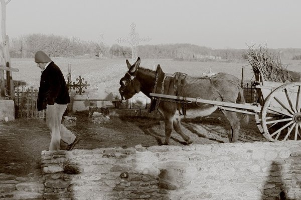  photo de La Ferme de Noël à la Ferme-Théâtre de Bellevue