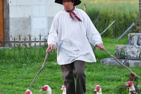  photo de La Bête à Cornes à la Ferme-Théâtre de Bellevue