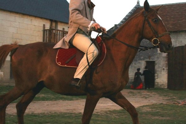  photo de La Bête à Cornes à la Ferme-Théâtre de Bellevue